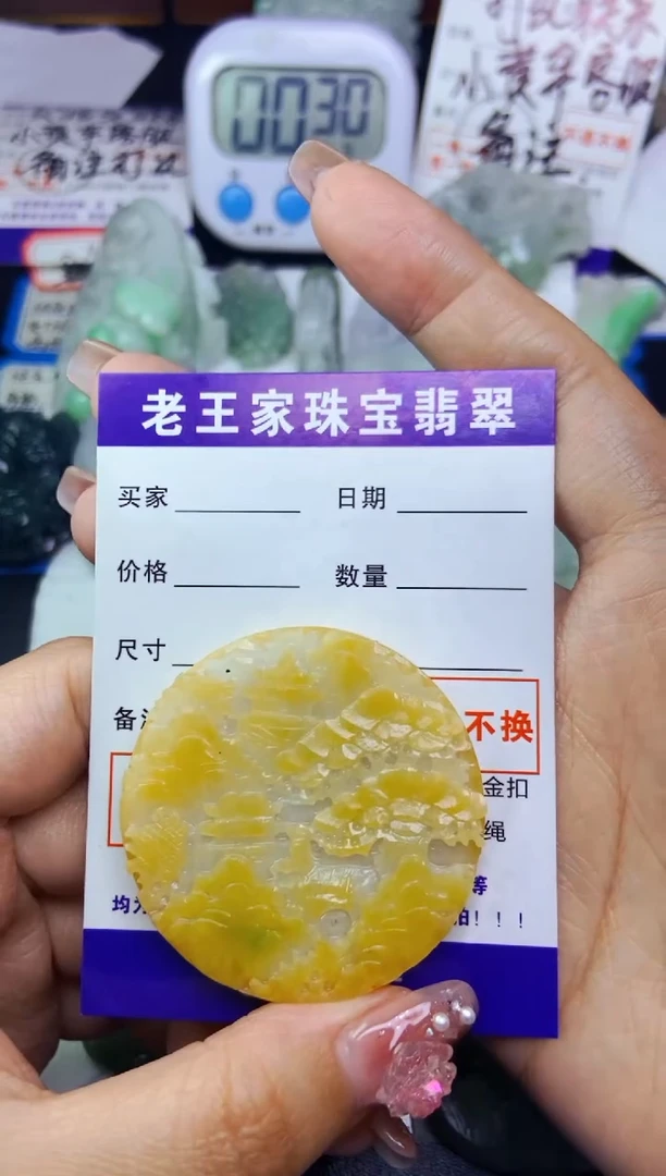 翡翠未镶嵌颈饰山水