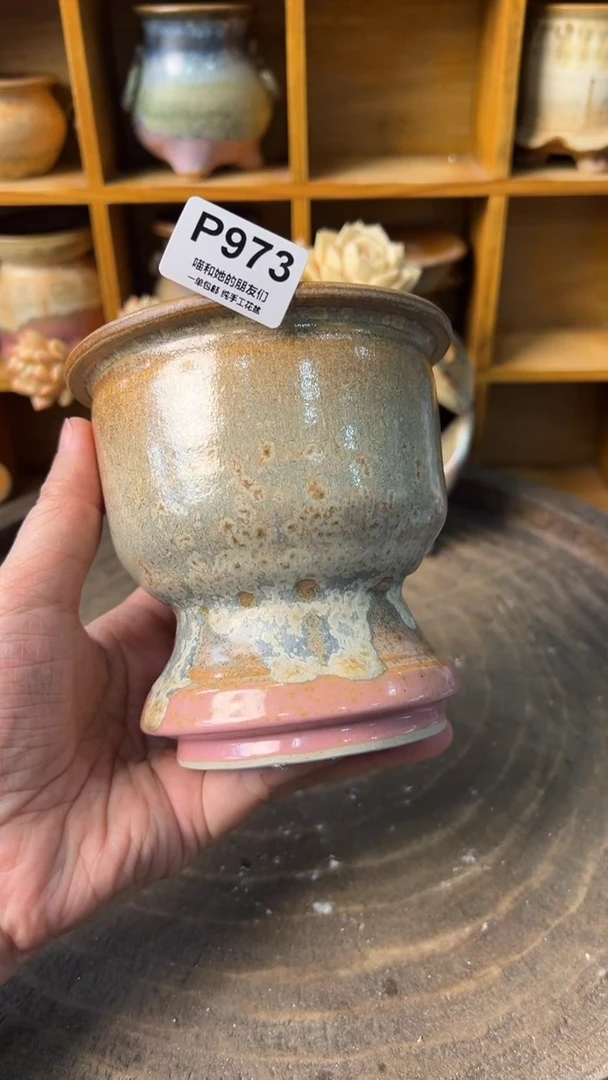 973【多肉花盆多肉盆】