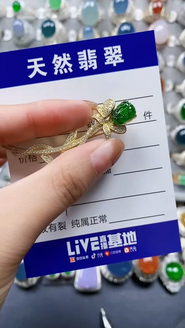 翡翠银S925镶嵌颈饰0620