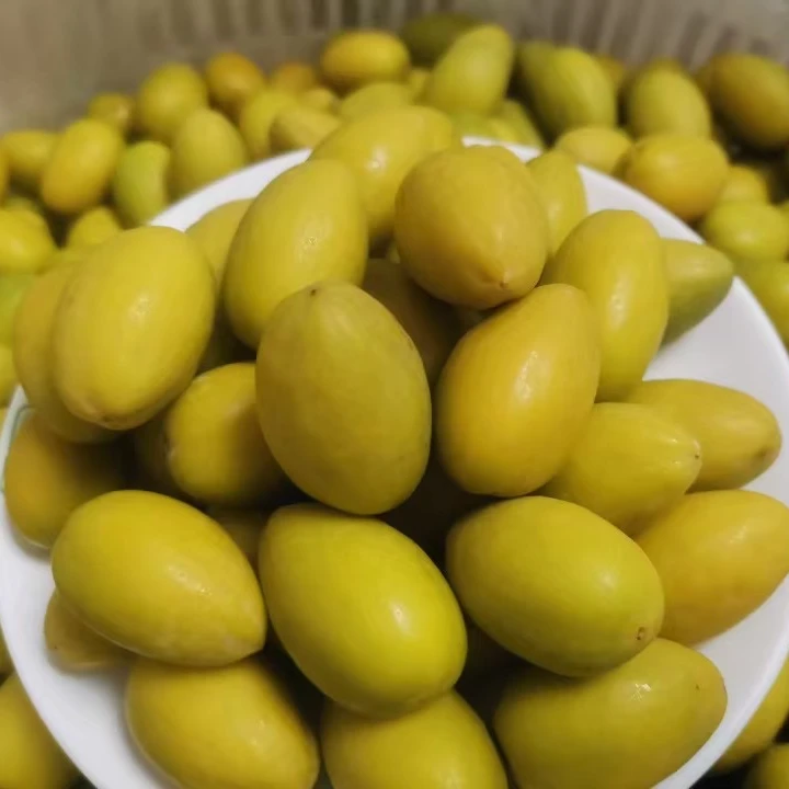金灶三捻橄榄大粒450g