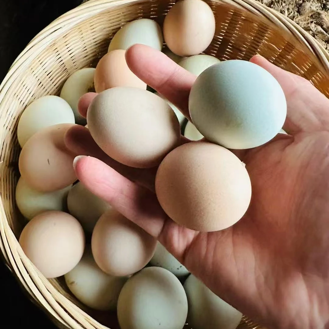 大别山散养散放土鸡蛋现捡现发到手40枚