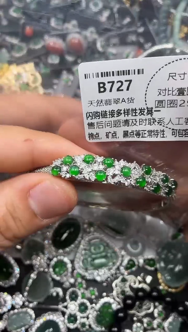 颈饰未镶嵌翡翠B727手镯