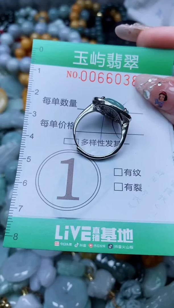 【闪购商品】翡翠颈饰未镶嵌闪购0066038