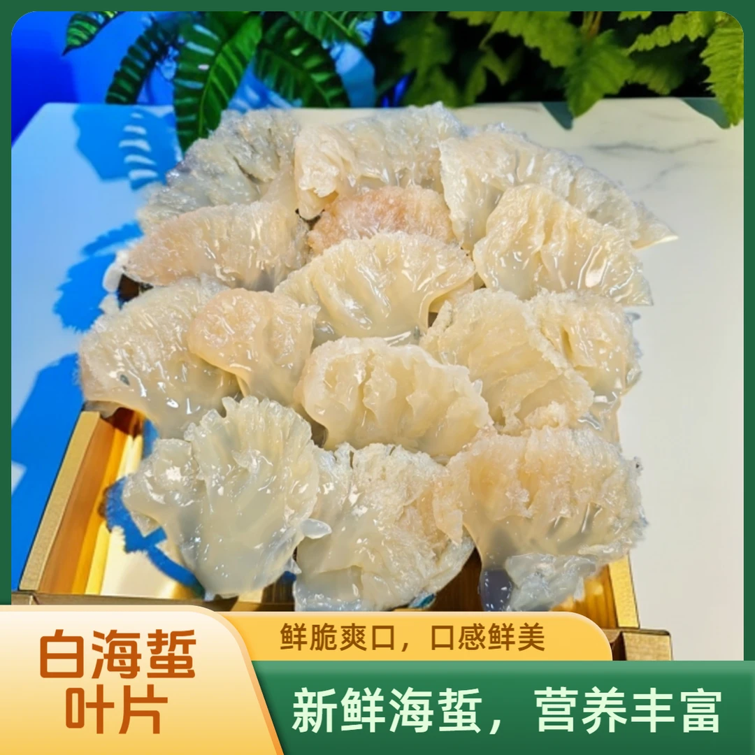 闽海龙白海蜇叶片盐渍鲜脆爽口