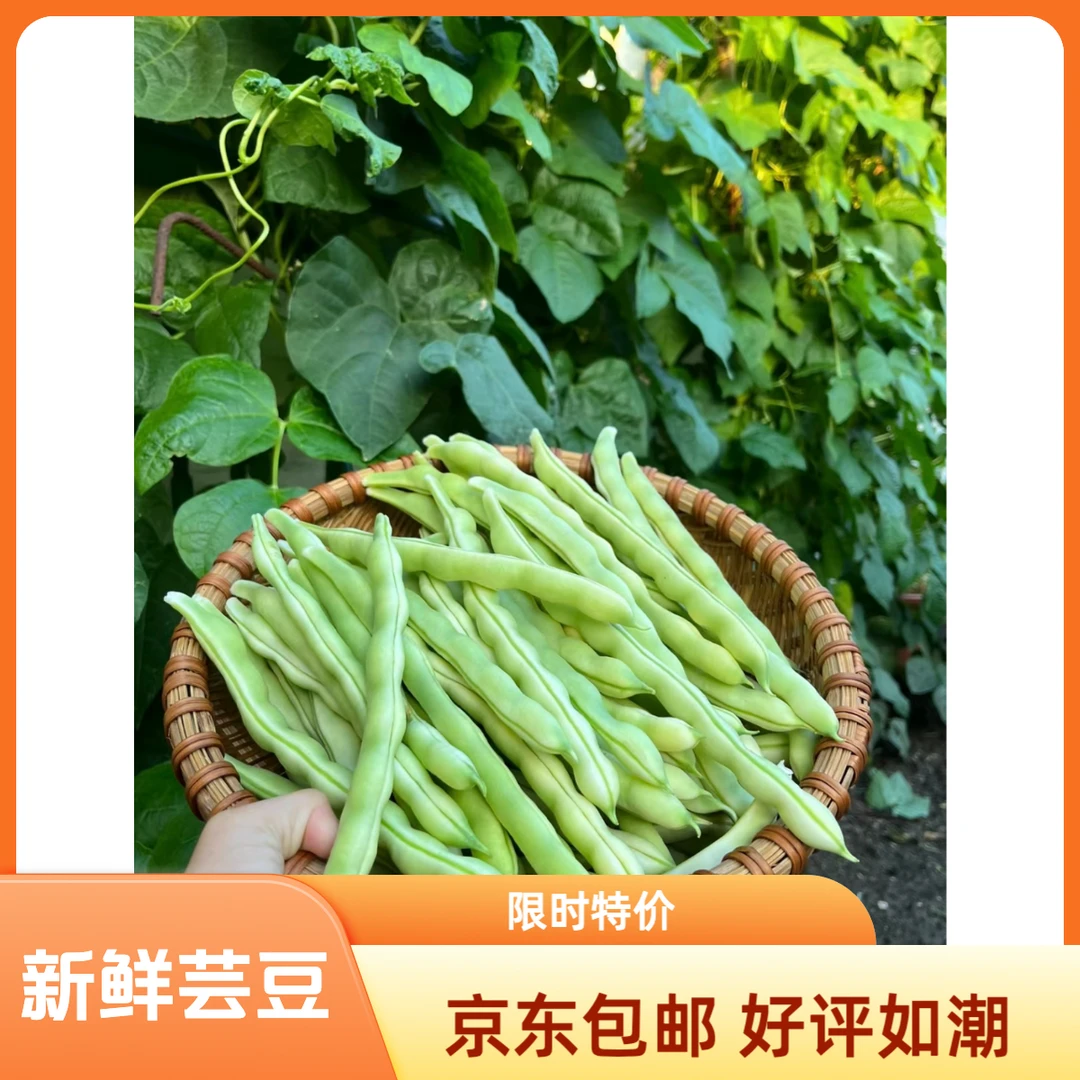 【京东包邮】当地新鲜芸豆（一份2.5斤助农）