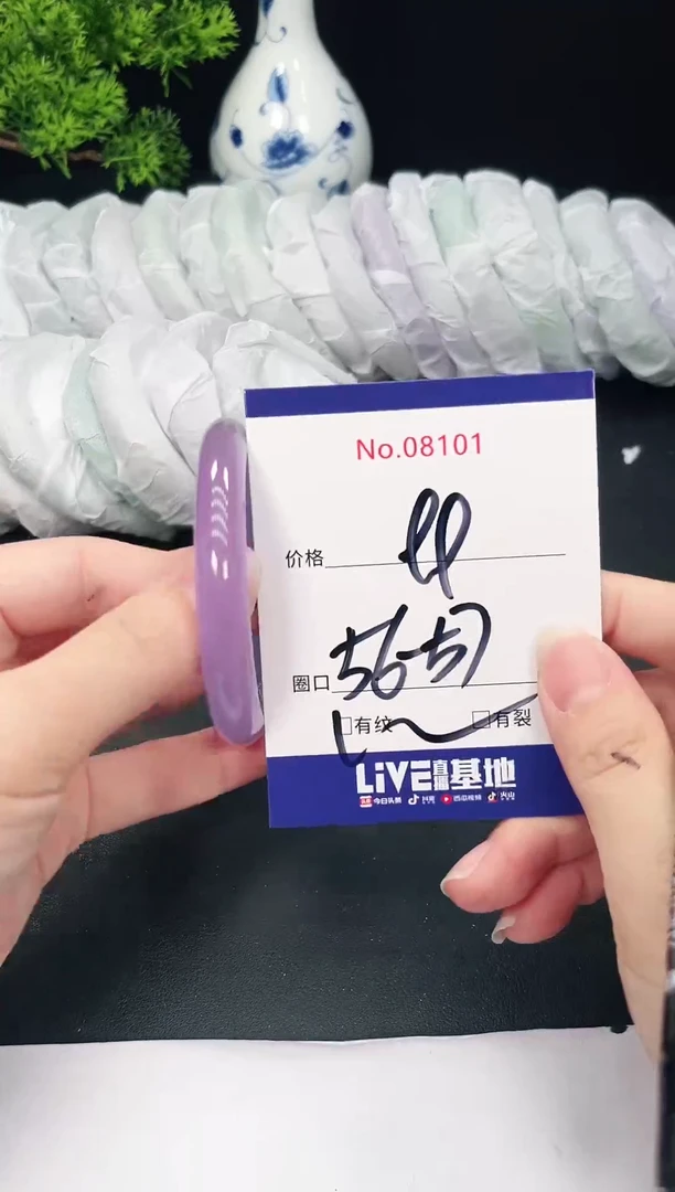 未镶嵌手镯翡翠8101