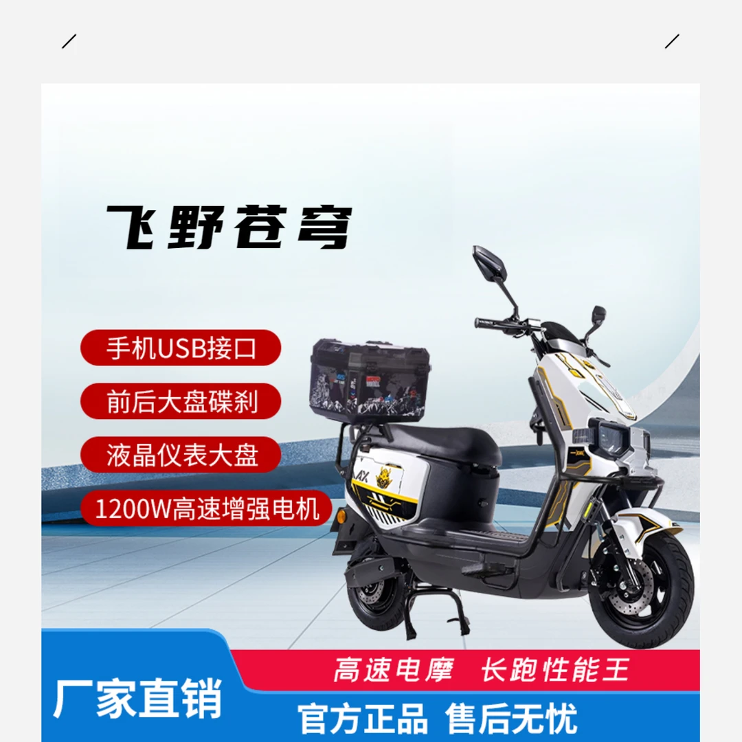 飞野苍穹机甲风大功率家用外卖电动摩托车高速电摩护杠L