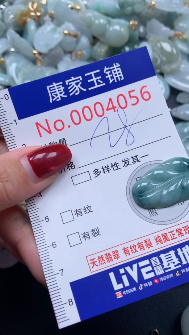 颈饰未镶嵌翡翠4056