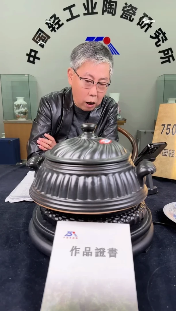 陶莱斯特耐热u煲