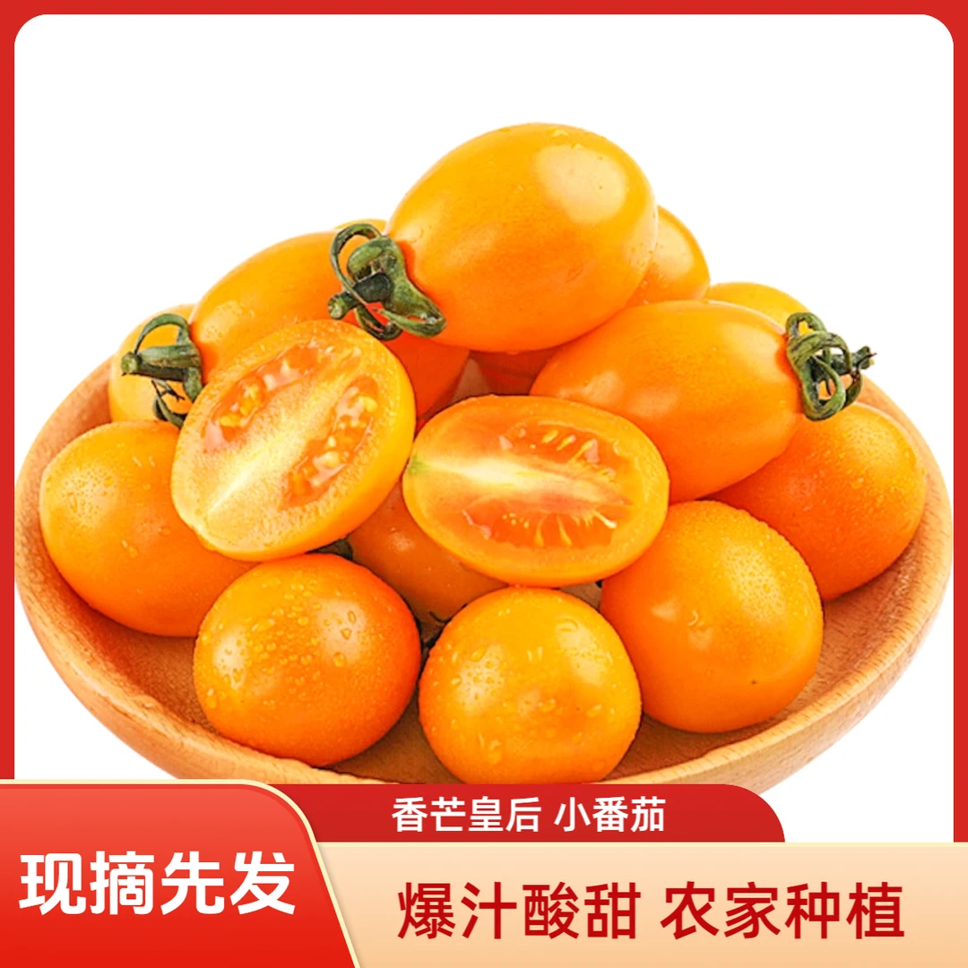 【顺丰包邮】香芒皇后番茄新鲜采摘九甜一酸农家肥无农残圣女果水果