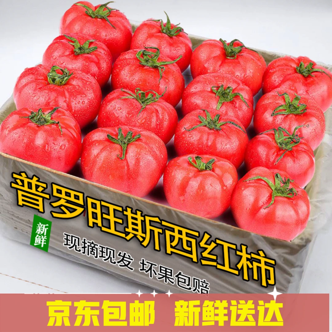 泾阳普罗旺斯西红柿自然熟高甜沙瓤精品彩箱京东顺丰包邮坏果包赔