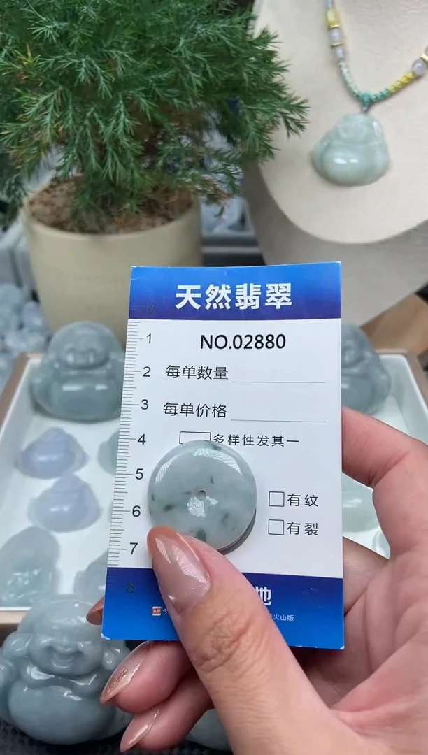 颈饰未镶嵌翡翠纯天然A货缅翡2880