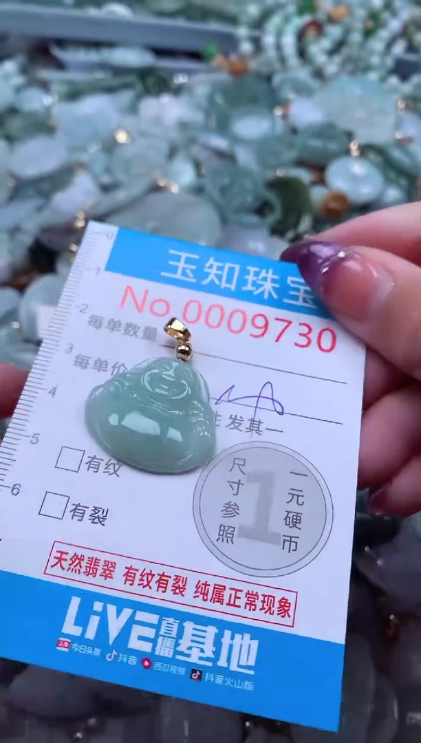 翡翠未镶嵌吊坠(不含链)9730