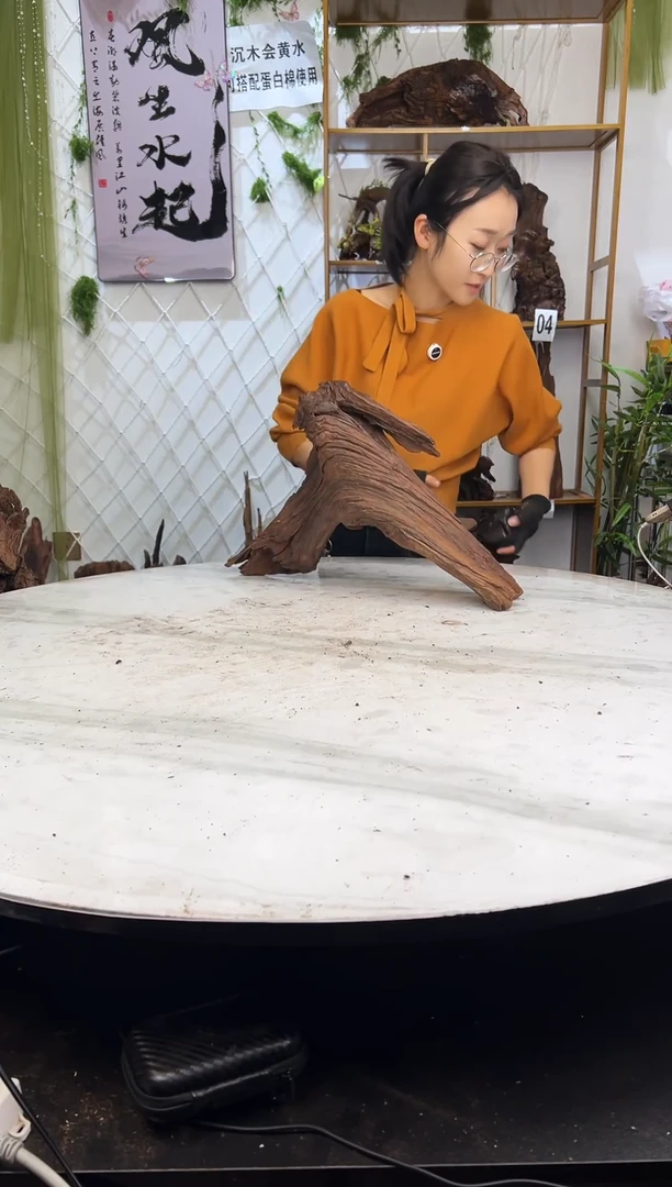 紫柚木沉木造景，会黄水，部分需泡沉