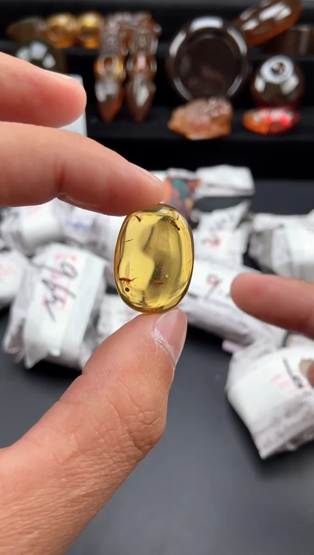 【闪购商品】琥珀颈饰未镶嵌虫珀