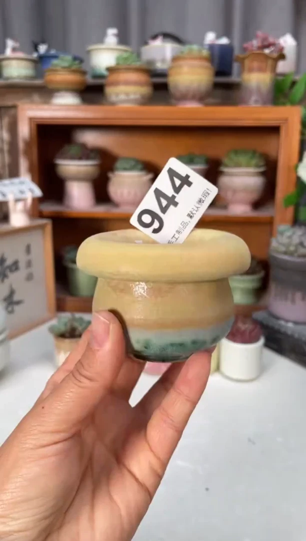 瓷片944小芳直播编号