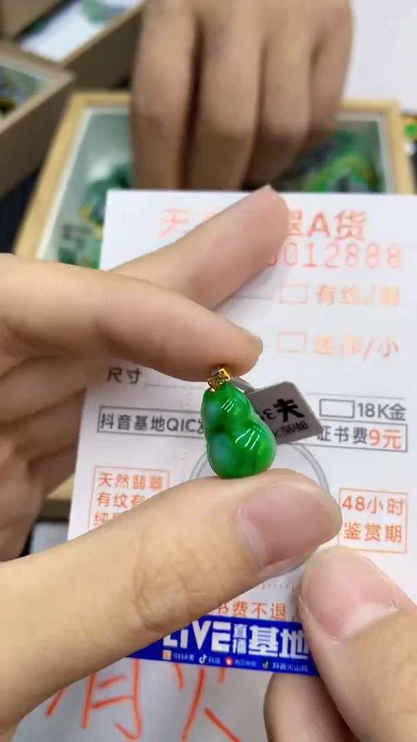 翡翠18K金镶嵌颈饰             1