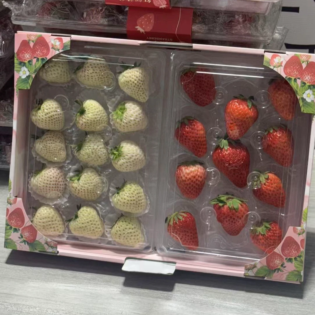 【全知道专属】红颜草莓+淡雪草莓双拼各300g东社草莓江苏省