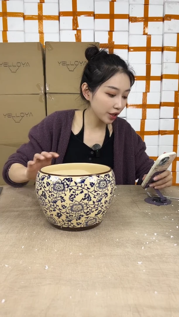 苹果青花瓷中号20x15