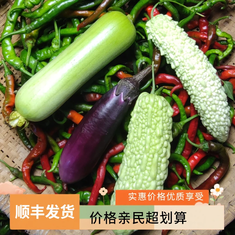 现摘土丝瓜土茄子土辣椒湖南农家露天自种新鲜蔬菜香辣特辣当季