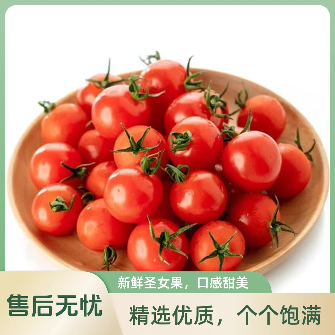 贝贝小番茄500g