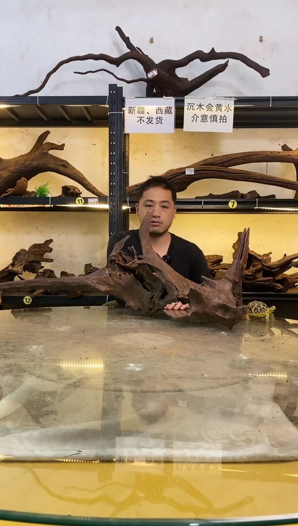 【闪购商品】柚木木艺119鱼缸造景沉木
