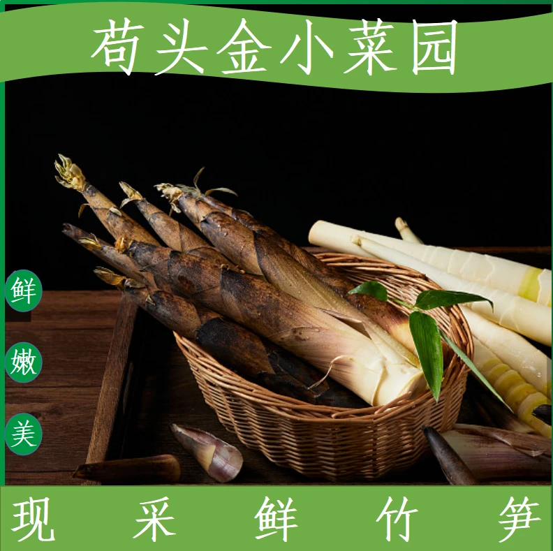 【春雷笋】甜竹笋春竹笋现采现挖3/5斤/9斤