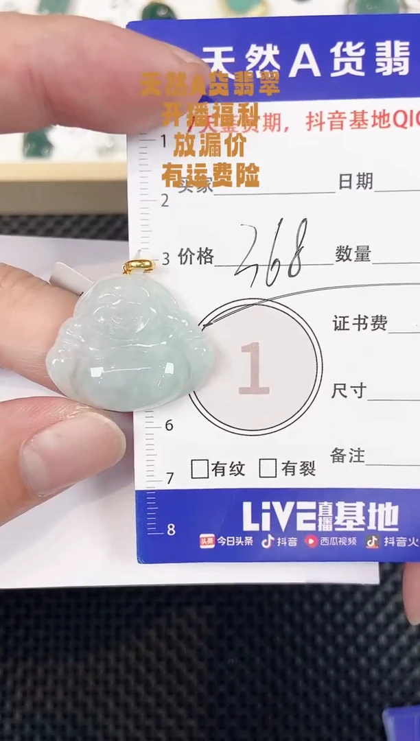 颈饰未镶嵌翡翠天然A货翡翠挂件
