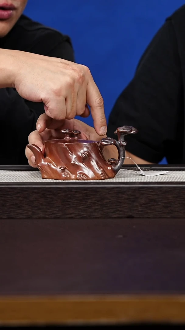 茶壶紫砂49