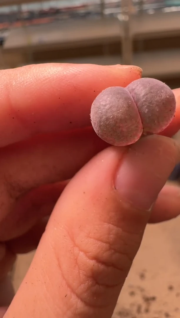 美丽的肉石头16-41