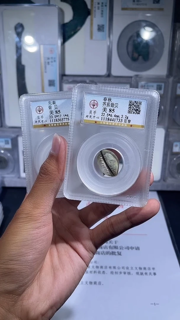 铜琪珍   骨贝骨贝一枚