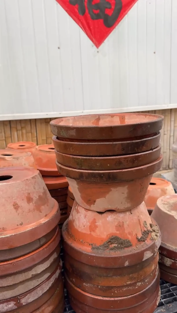 DD-8常滑烧10号4个