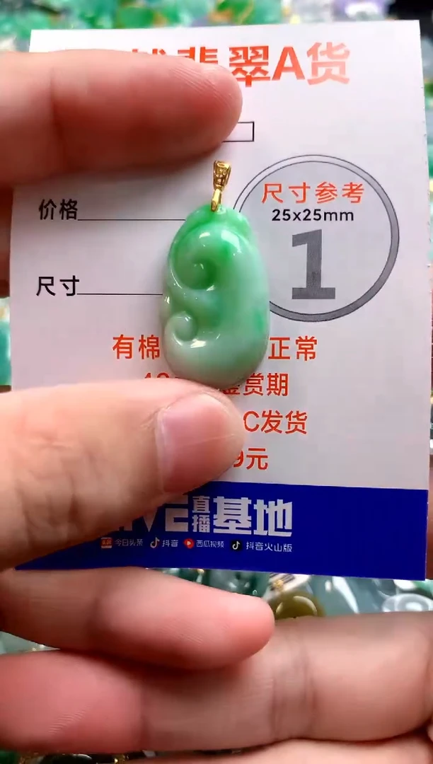 颈饰未镶嵌翡翠23000306