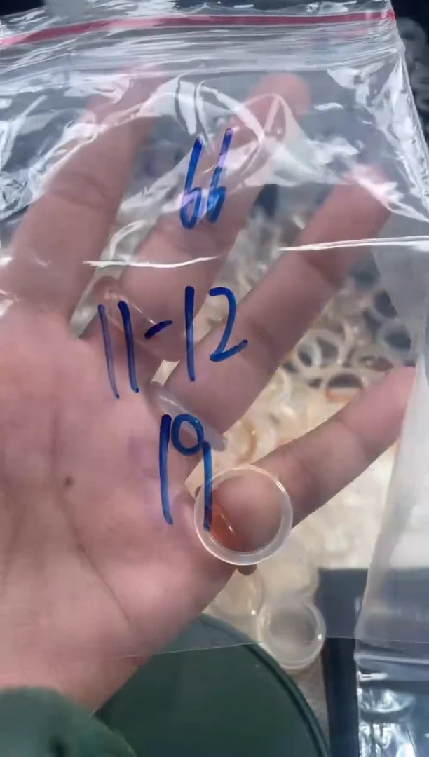 玛瑙/玉髓戒指未镶嵌66