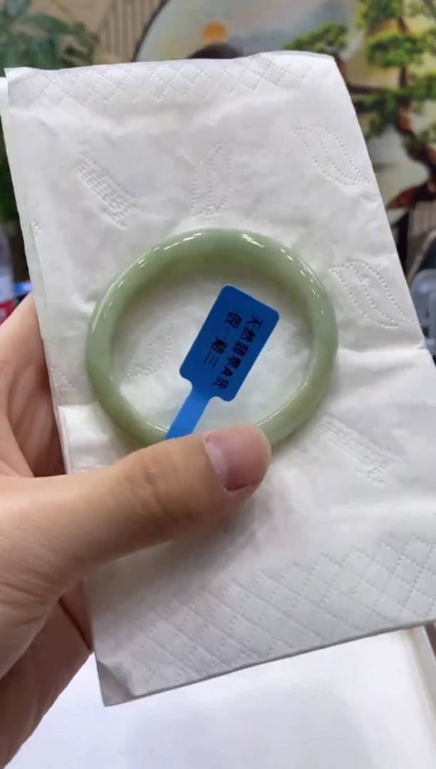 未镶嵌手镯翡翠4241