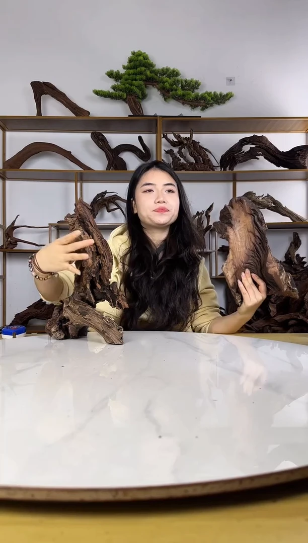 单****?拍沉木定向链接编号4