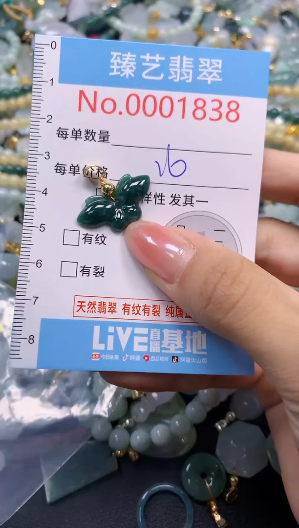 颈饰未镶嵌翡翠1838