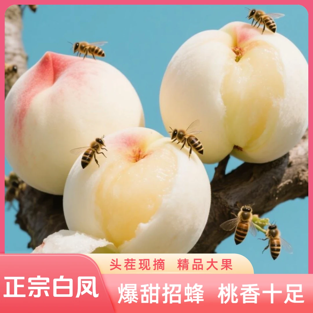 【阳山】头茬同种特大正宗白凤水蜜桃撕皮鲜甜新鲜水果礼盒送礼现摘