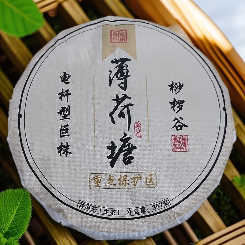 2019年薄荷塘桫椤谷电杆型巨株重点保护区普洱生茶饼357克F105号