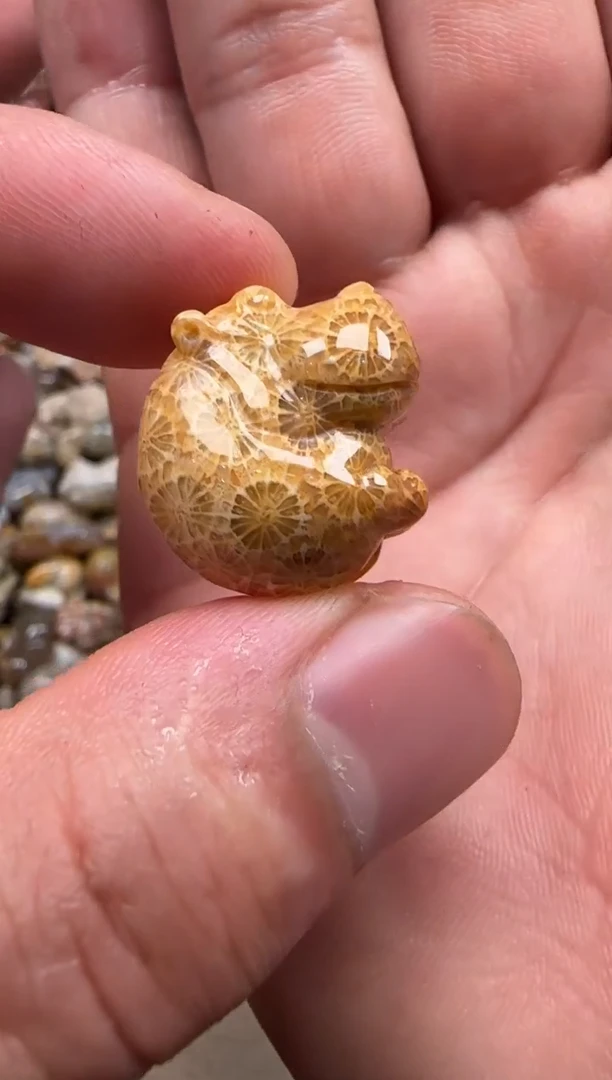 【闪购商品】硅化珊瑚（珊瑚玉）颈饰未镶嵌479