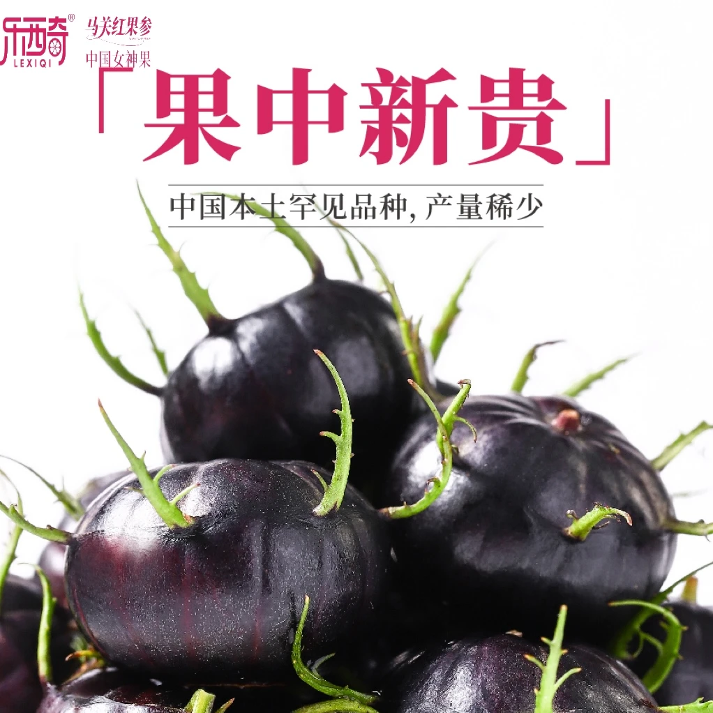 云南马关红果参盒装