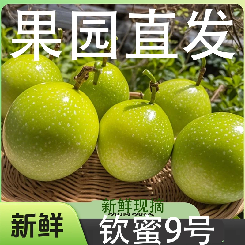 百香果新鲜现摘现发钦蜜9号果园直发