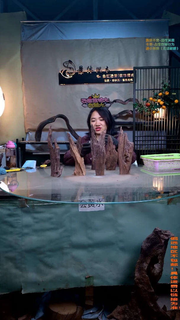 摆件景沐沉木J186景沐沉木J186