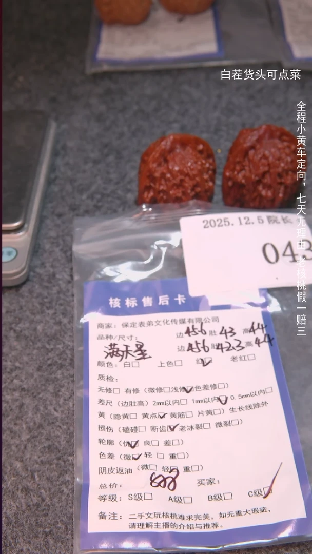 把件文玩核桃左*满天星043諘帝文化