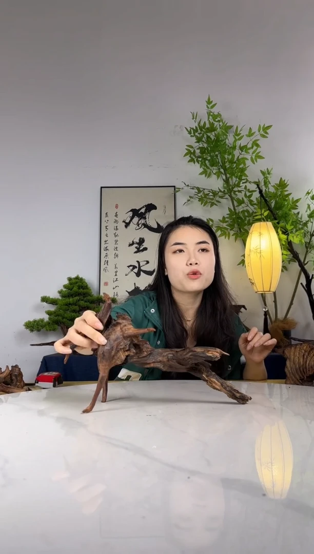 发***型拍这个定向编号14