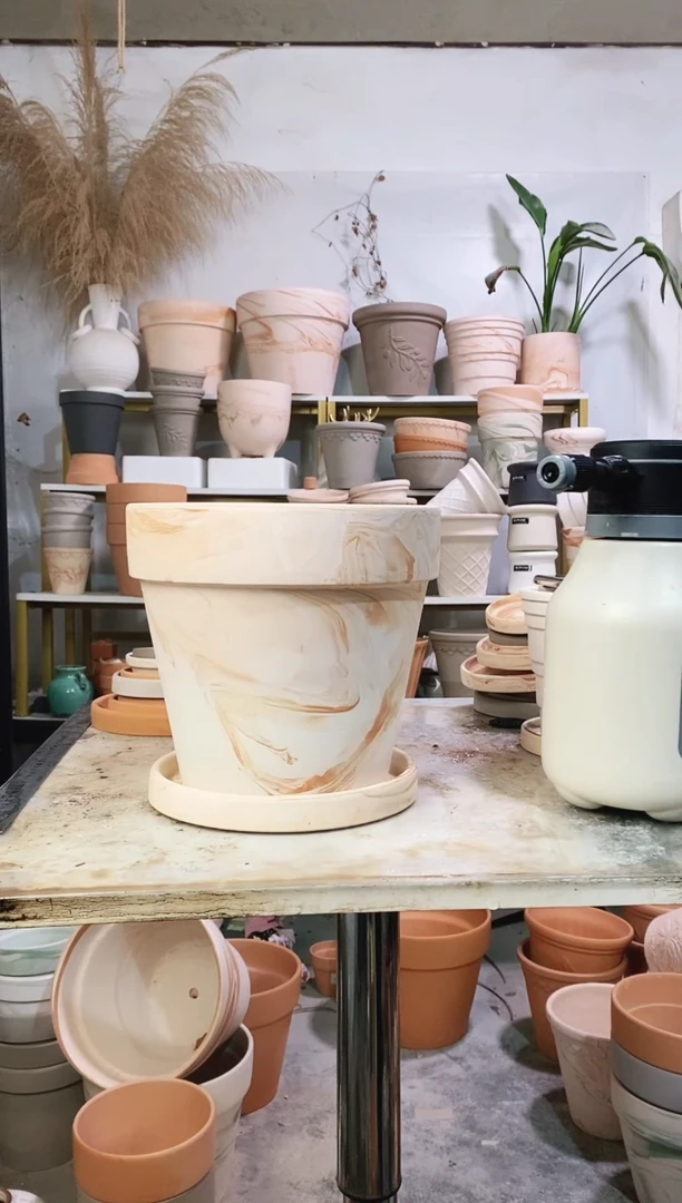 23*21玛奇朵 1盆1托