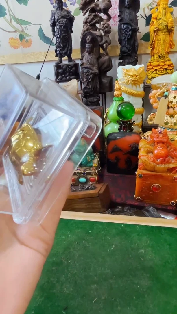 龟老板娘主播推荐推荐