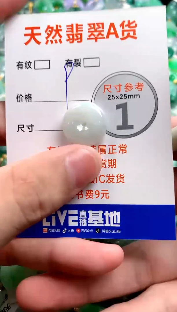 颈饰未镶嵌翡翠13006394