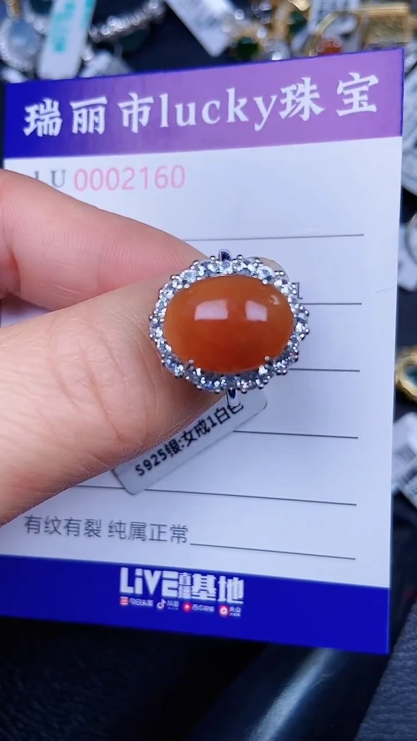 颈饰银S925镶嵌翡翠1260