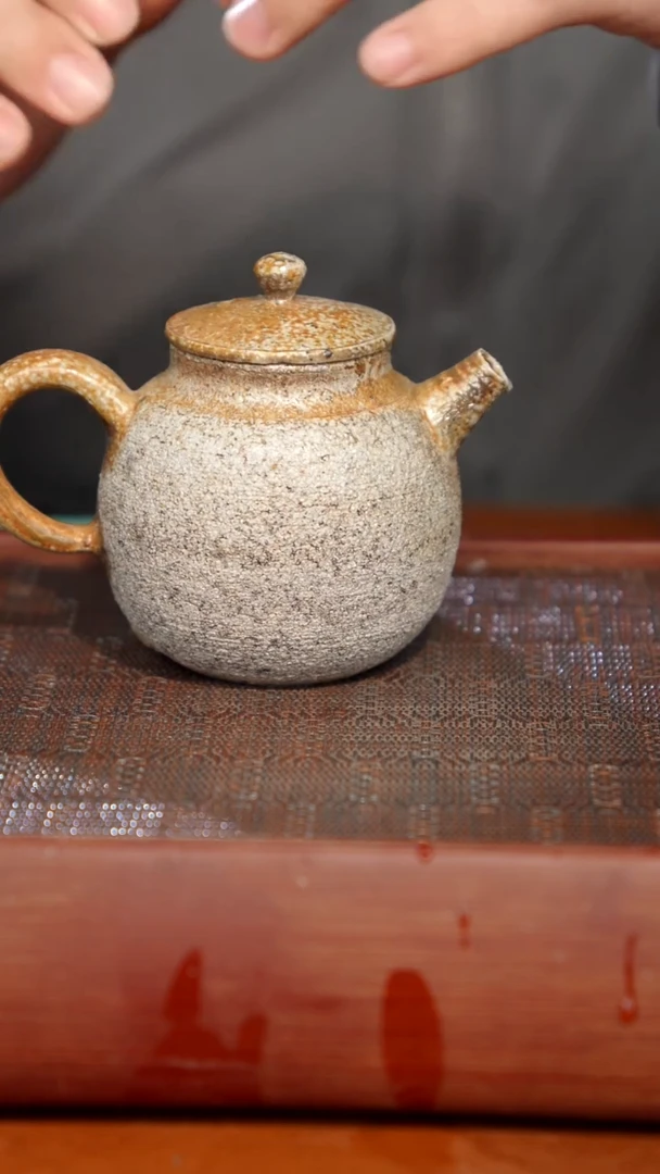 陶瓷奢瓷/瑞寅柴烧茶器（壶）062